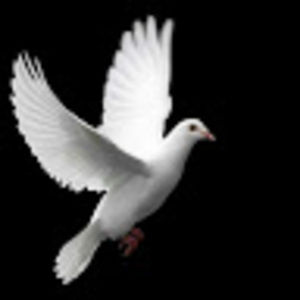 Meet your Posher, Sergey